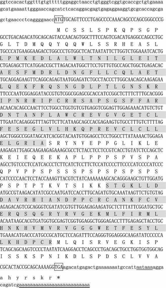 Growth arrest specific gene 2 in tilapia (Oreochromis niloticus): molecular characterization and functional analysis under low-temperature stress