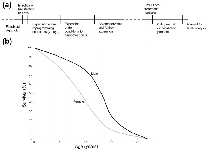 Overcoming barriers to reprogramming and differentiation in nonhuman primate induced pluripotent stem cells.