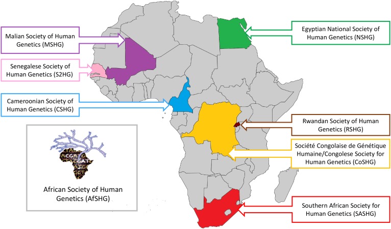 Strengthening human genetics research in Africa: report of the 9th meeting of the African Society of Human Genetics in Dakar in May 2016.