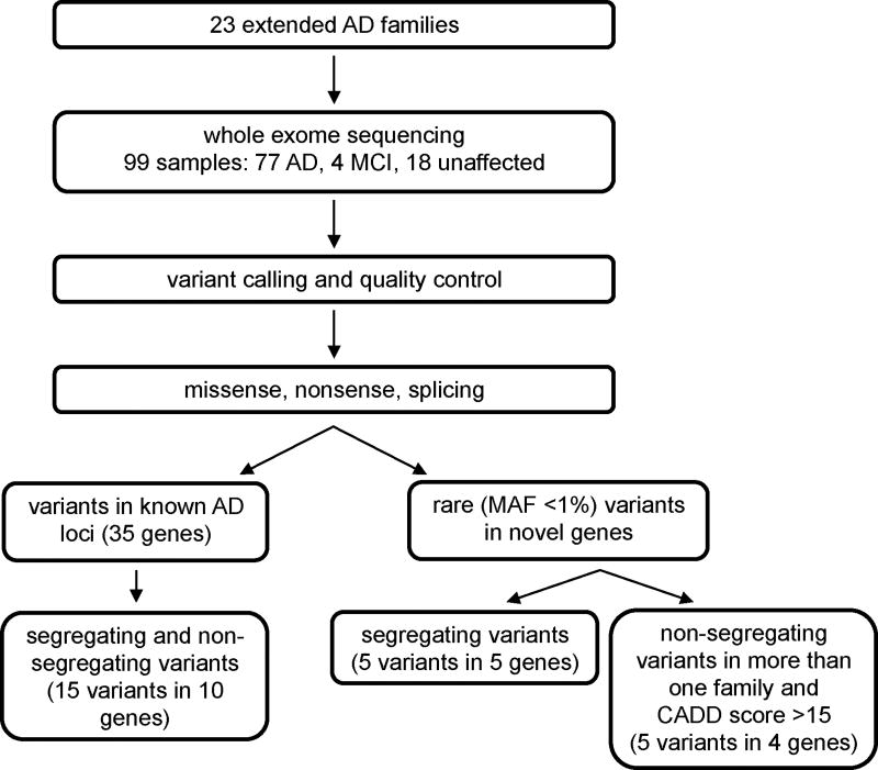 Exome Sequencing of Extended Families with Alzheimer's Disease Identifies Novel Genes Implicated in Cell Immunity and Neuronal Function.