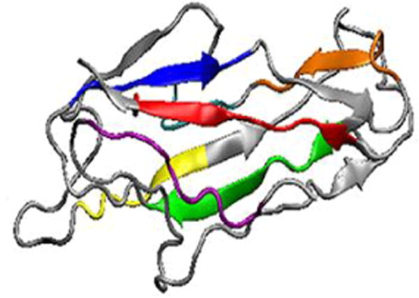 MEFA (multiepitope fusion antigen)-Novel Technology for Structural Vaccinology, Proof from Computational and Empirical Immunogenicity Characterization of an Enterotoxigenic <i>Escherichia coli</i> (ETEC) Adhesin MEFA.