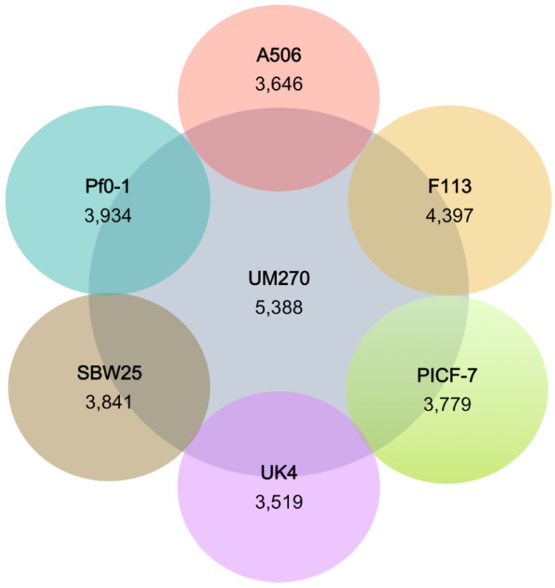 Genome Comparison of <i>Pseudomonas fluorescens</i> UM270 with Related Fluorescent Strains Unveils Genes Involved in Rhizosphere Competence and Colonization.