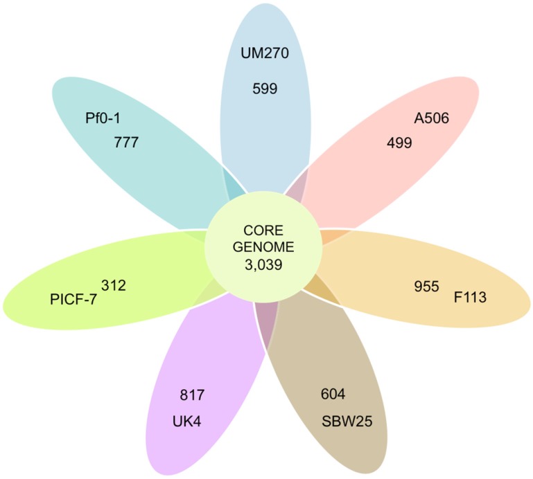 Genome Comparison of <i>Pseudomonas fluorescens</i> UM270 with Related Fluorescent Strains Unveils Genes Involved in Rhizosphere Competence and Colonization.