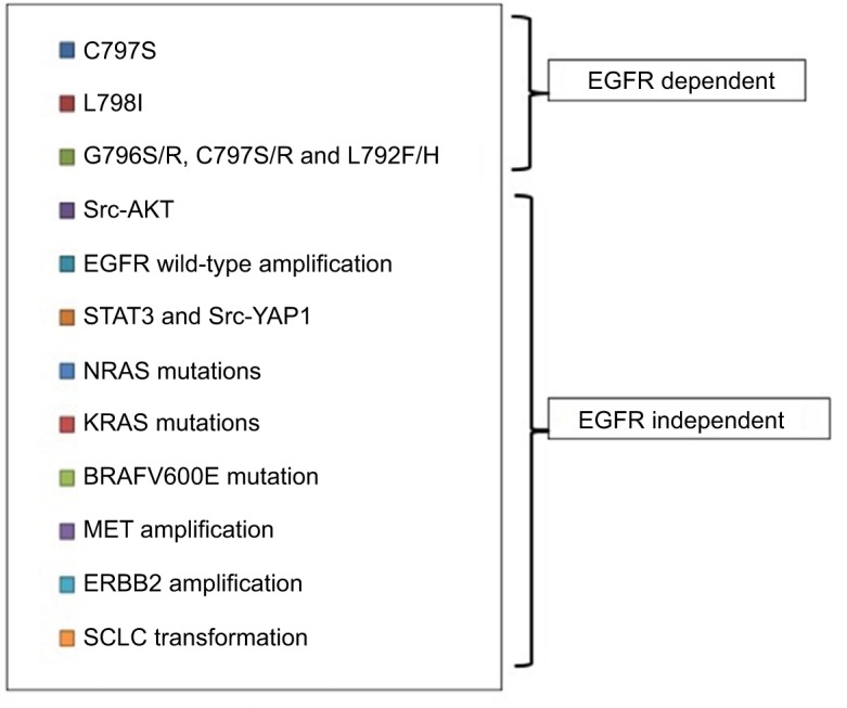 Osimertinib in the treatment of non-small-cell lung cancer: design, development and place in therapy.