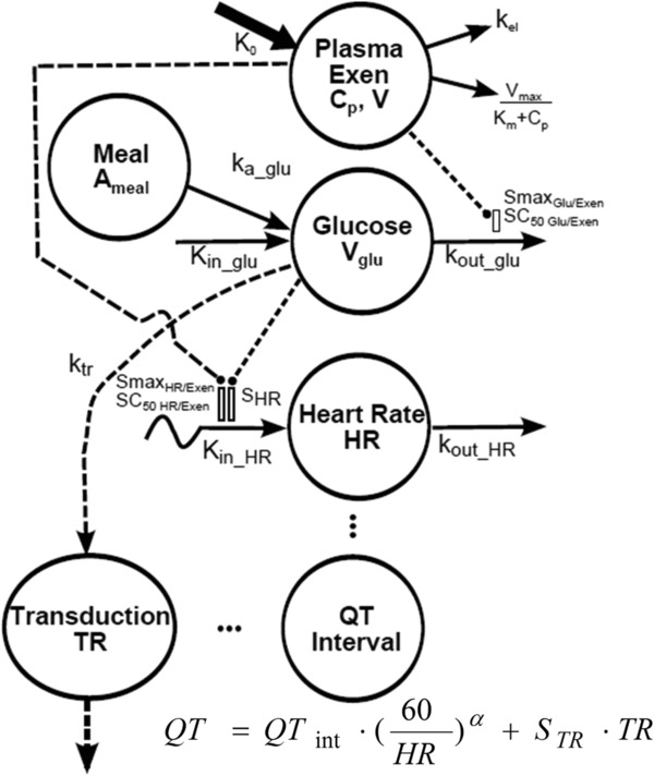 Model-Based Evaluation of Exenatide Effects on the QT Interval in Healthy Subjects Following Continuous IV Infusion.