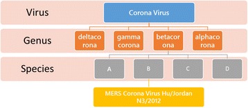 The history and epidemiology of Middle East respiratory syndrome corona virus.