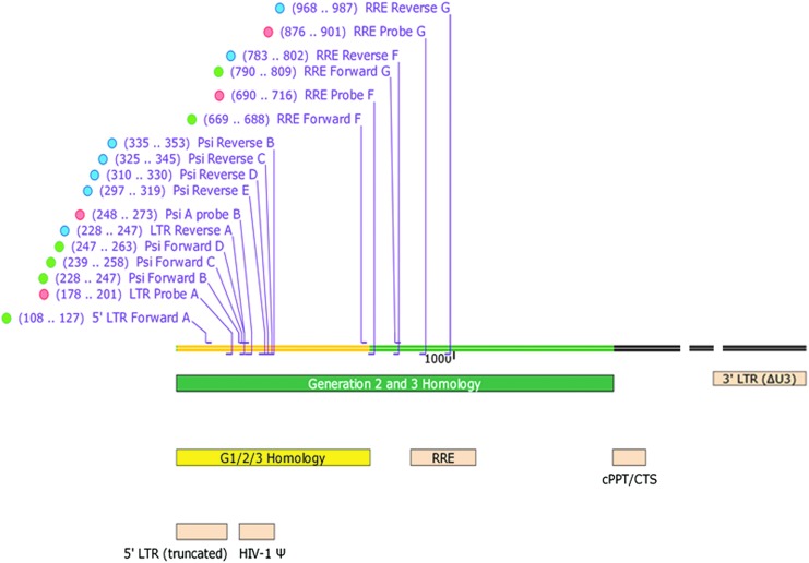 Development of the First World Health Organization Lentiviral Vector Standard: Toward the Production Control and Standardization of Lentivirus-Based Gene Therapy Products.