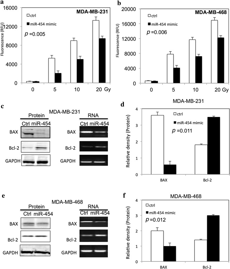 MicroRNA-454 may function as an oncogene via targeting AKT in triple negative breast cancer.