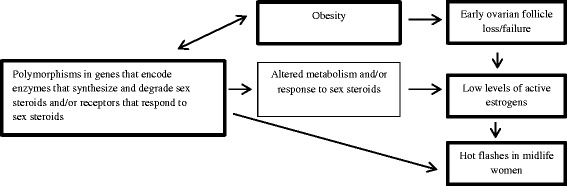 The Midlife Women's Health Study - a study protocol of a longitudinal prospective study on predictors of menopausal hot flashes.