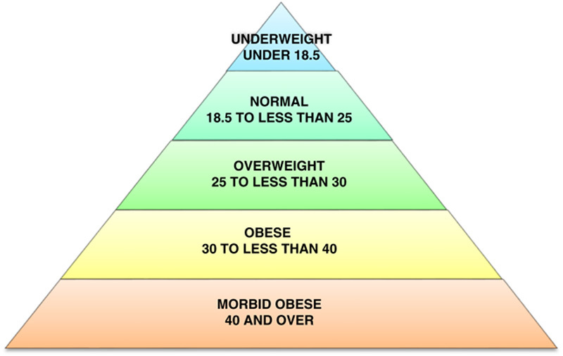 The rising prevalence of obesity: part A: impact on public health.