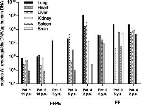 Traceability and distribution of <i>Neisseria meningitidis</i> DNA in archived post mortem tissue samples from patients with systemic meningococcal disease.