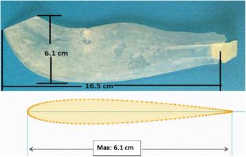 Structural Analysis of Biologically Inspired Small Wind Turbine Blades