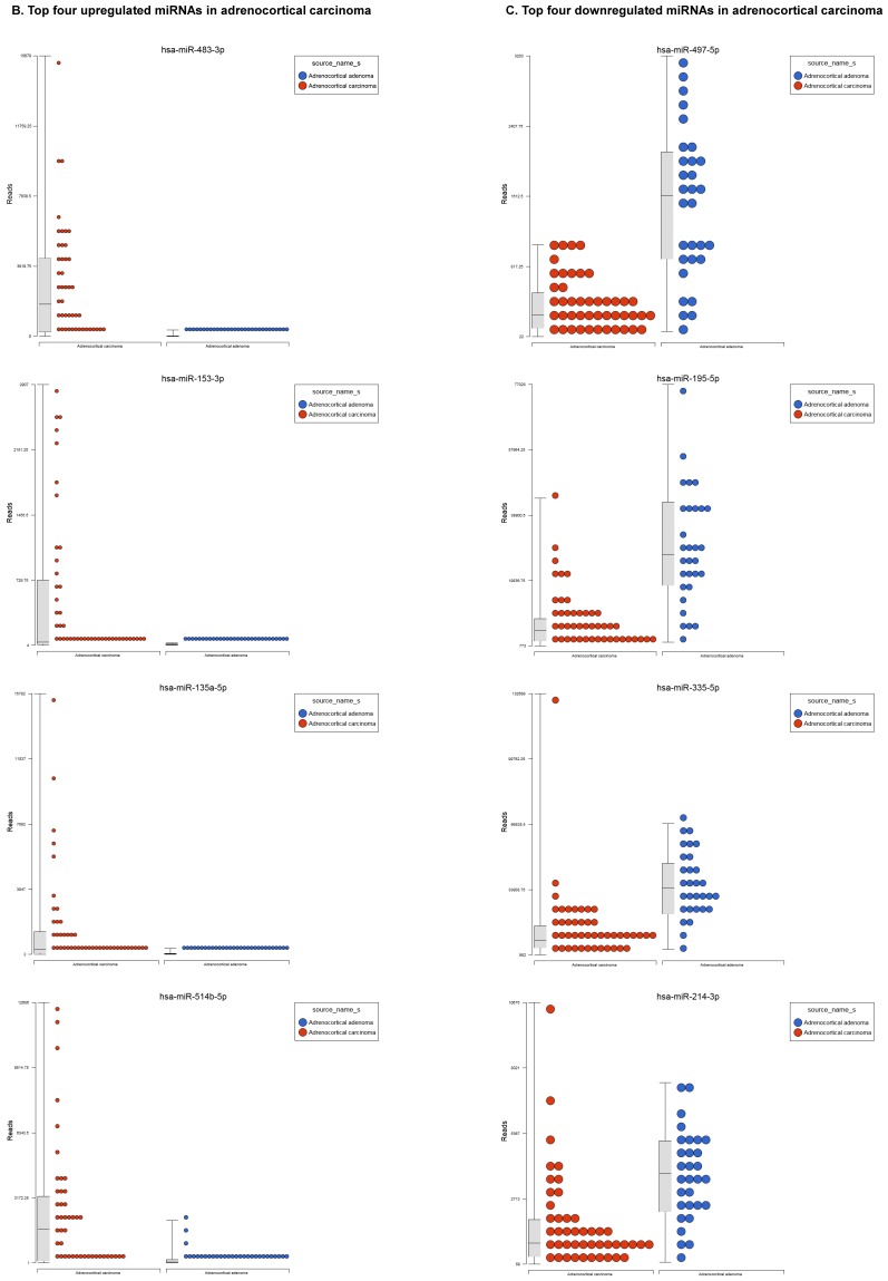 Small Non-coding RNA Abundance in Adrenocortical Carcinoma: A Footprint of a Rare Cancer.