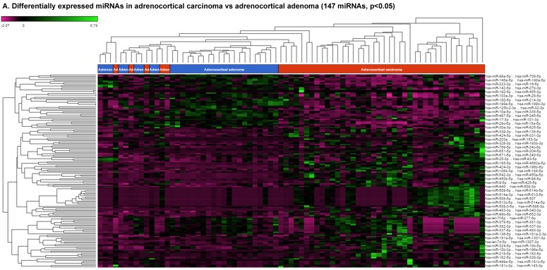 Small Non-coding RNA Abundance in Adrenocortical Carcinoma: A Footprint of a Rare Cancer.