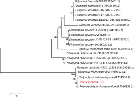 Genome sequence of the white-rot fungus <i>Irpex lacteus</i> F17, a type strain of lignin degrader fungus.