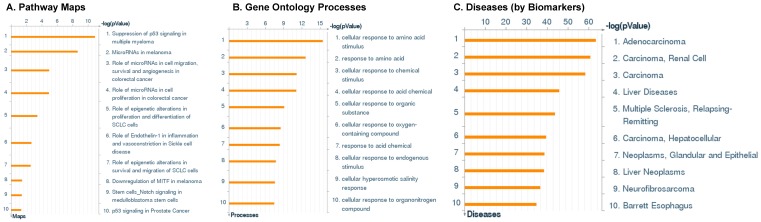 Small Non-coding RNA Abundance in Adrenocortical Carcinoma: A Footprint of a Rare Cancer.