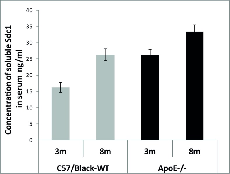 Hepatic and Aortic Arch Expression and Serum Levels of Syndecan-1 in ApoE<sup>-/-</sup> Mice.