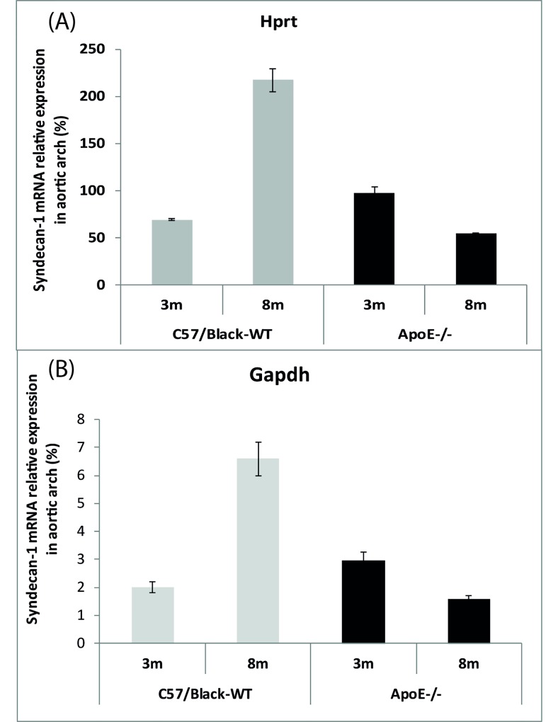Hepatic and Aortic Arch Expression and Serum Levels of Syndecan-1 in ApoE<sup>-/-</sup> Mice.