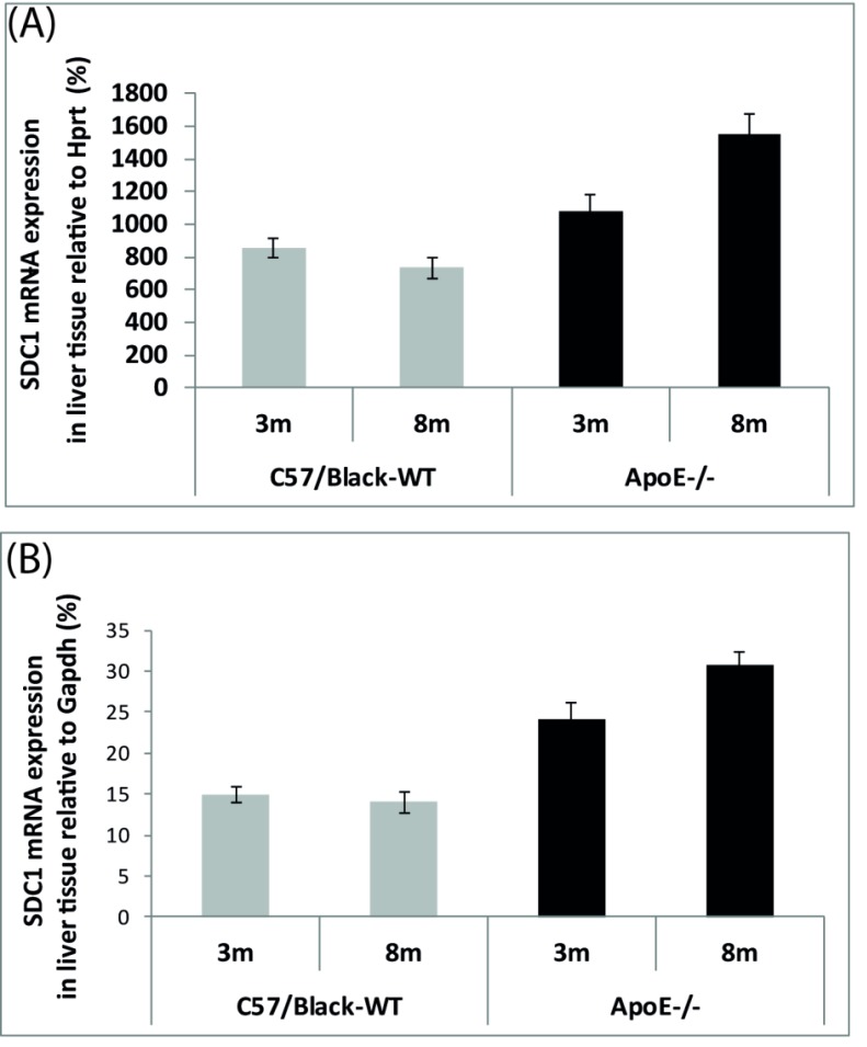 Hepatic and Aortic Arch Expression and Serum Levels of Syndecan-1 in ApoE<sup>-/-</sup> Mice.