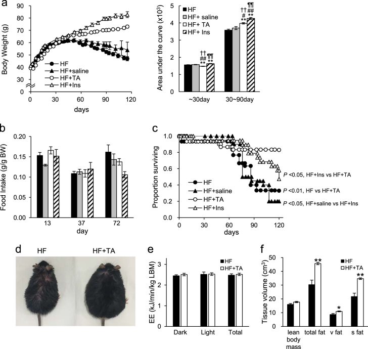 Treatment of diabetic mice with the SGLT2 inhibitor TA-1887 antagonizes diabetic cachexia and decreases mortality.