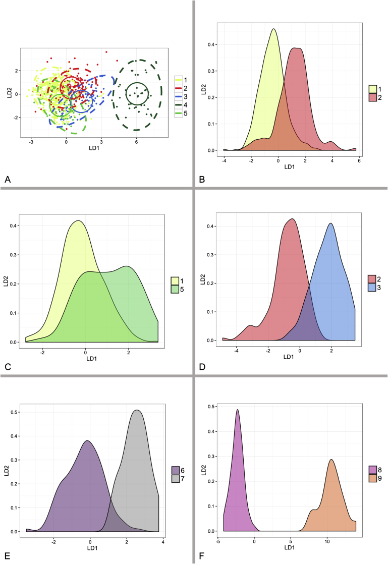 Phylogeny of xerophilic aspergilli (subgenus Aspergillus) and taxonomic revision of section Restricti