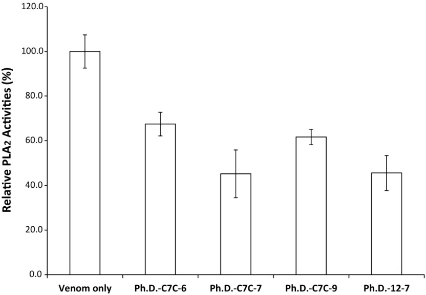 Application of phage display for the development of a novel inhibitor of PLA<sub>2</sub> activity in Western cottonmouth venom.