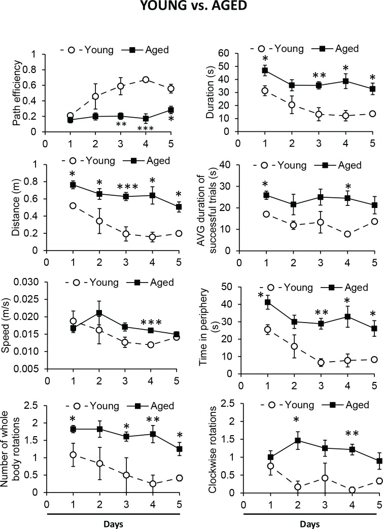 Pyridoindole SMe1EC2 as cognition enhancer in ageing-related cognitive decline.