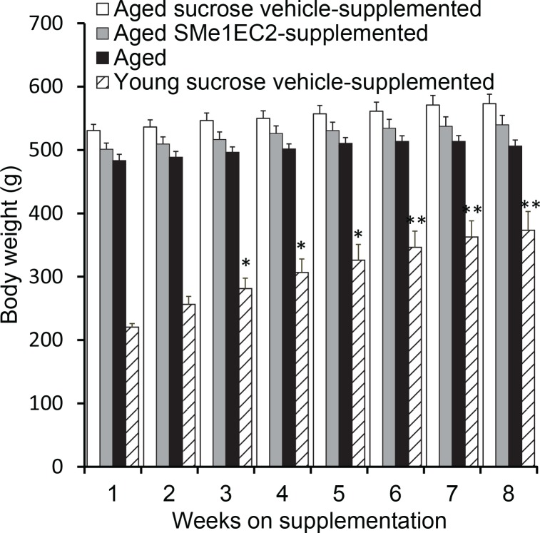 Pyridoindole SMe1EC2 as cognition enhancer in ageing-related cognitive decline.