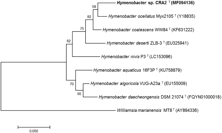The draft genome sequence of Hymenobacter sp. CRA2 isolated from Nama Karoo shrub land soils from South Africa
