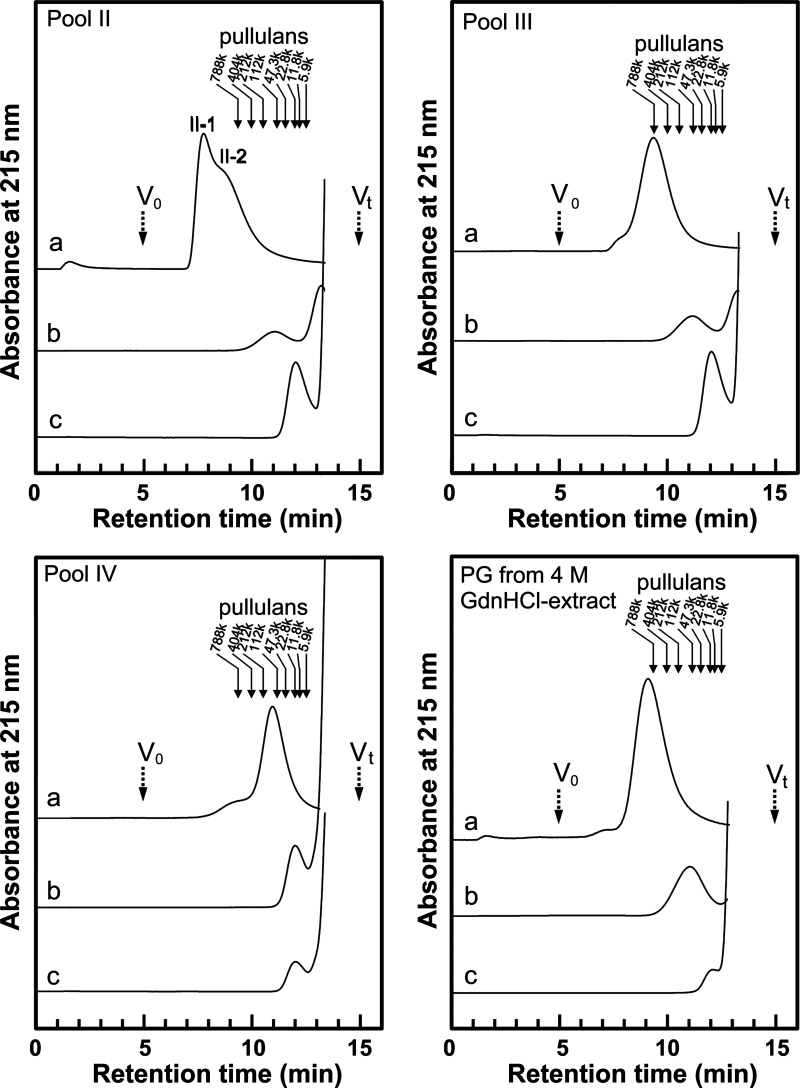 Characterization of Proteoglycan and Hyaluronan in Hot Water Extract from Salmon Cartilage.