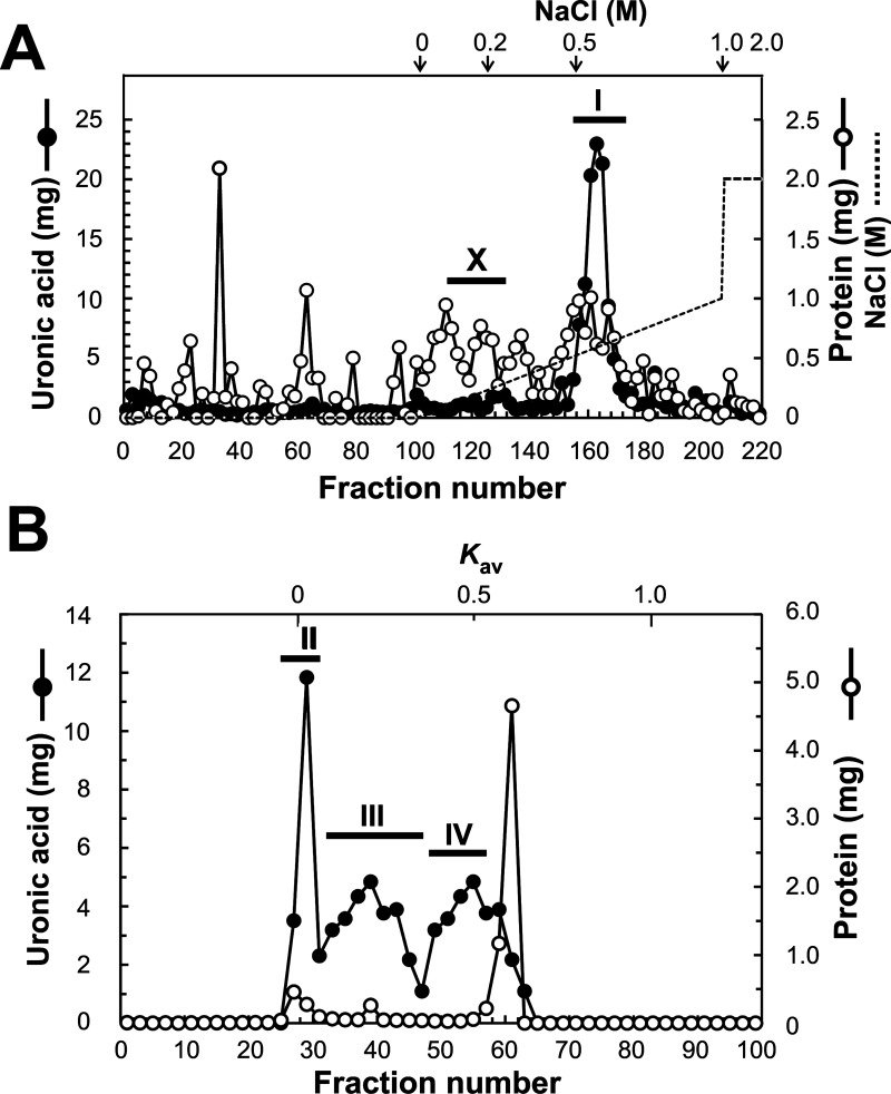 Characterization of Proteoglycan and Hyaluronan in Hot Water Extract from Salmon Cartilage.