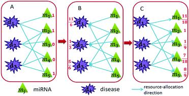 A novel method for identifying potential disease-related miRNAs via a disease–miRNA–target heterogeneous network†