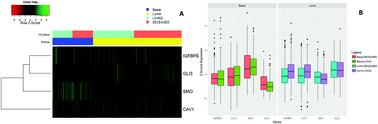 Hedgehog-mesenchyme gene signature identifies bi-modal prognosis in luminal and basal breast cancer sub-types†