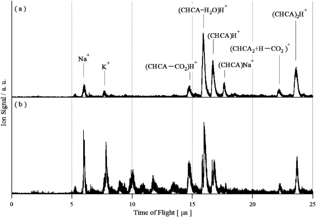 Generation and Propagation of MALDI Ion Packets Probed by Sheet-Like Nanosecond UV Laser Light.