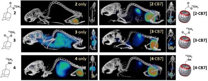 Adamantane/Cucurbituril: A Potential Pretargeted Imaging Strategy in Immuno-PET.