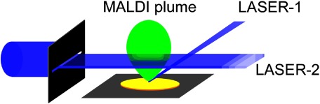 Generation and Propagation of MALDI Ion Packets Probed by Sheet-Like Nanosecond UV Laser Light.