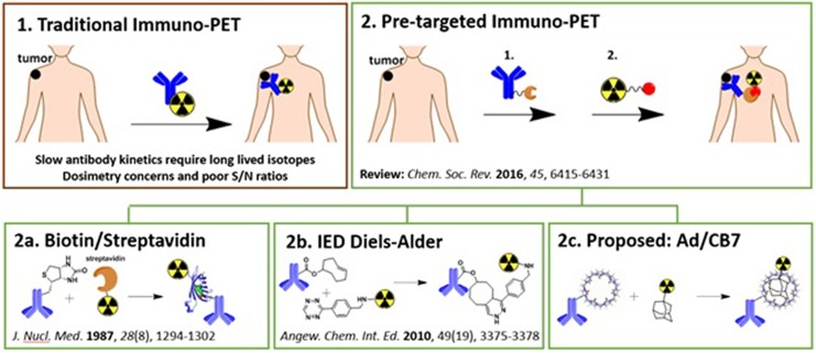 Adamantane/Cucurbituril: A Potential Pretargeted Imaging Strategy in Immuno-PET.