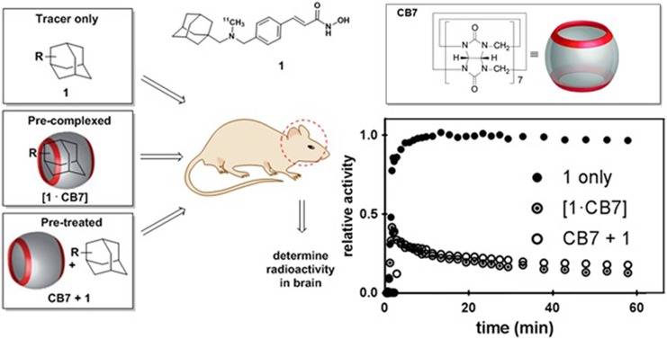 Adamantane/Cucurbituril: A Potential Pretargeted Imaging Strategy in Immuno-PET.