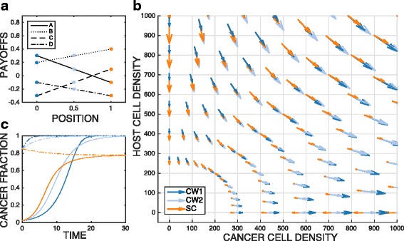 Cancer dormancy and criticality from a game theory perspective.