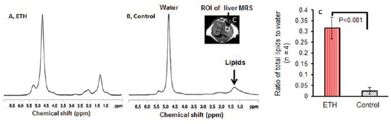 Quantification of Hepatic Lipid Using 7.0T Proton Magnetic Resonance Spectroscopy and Computed Tomography in Mild Alcoholic Steatotic Mice.