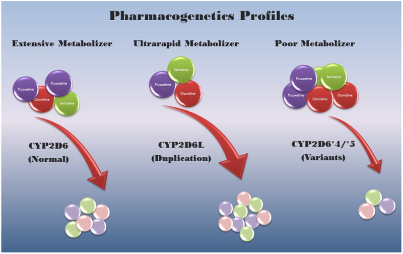 Pharmacogenetics and Psychiatric Care: A Review and Commentary.