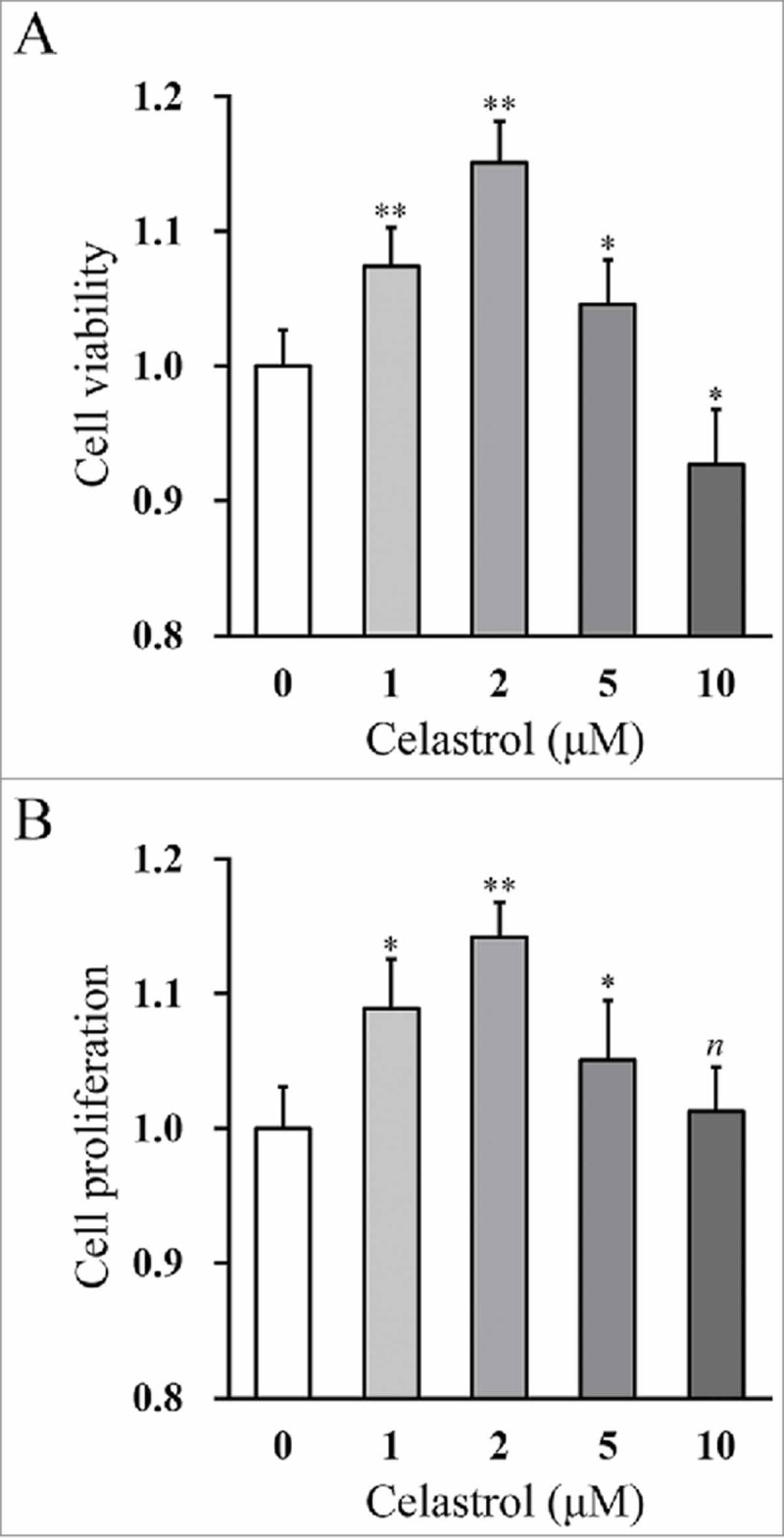 Celastrol enhances Atoh1 expression in inner ear stem cells and promotes their differentiation into functional auditory neuronal-like cells.