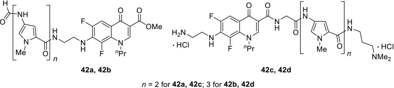 Modifications of quinolones and fluoroquinolones: hybrid compounds and dual-action molecules.