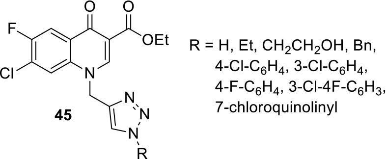 Modifications of quinolones and fluoroquinolones: hybrid compounds and dual-action molecules.