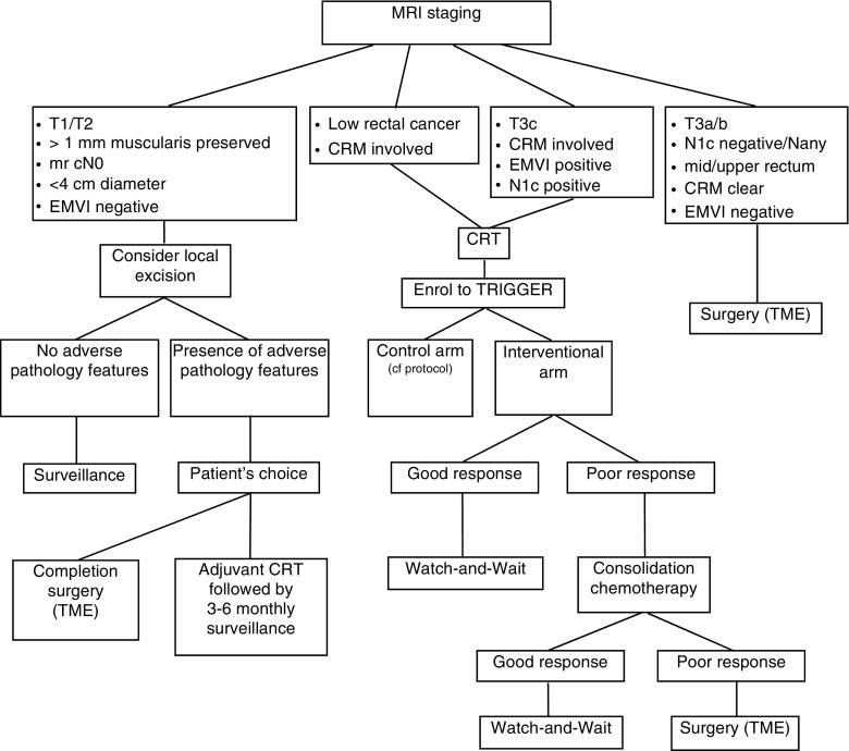 Watch-and-Wait as a Therapeutic Strategy in Rectal Cancer.