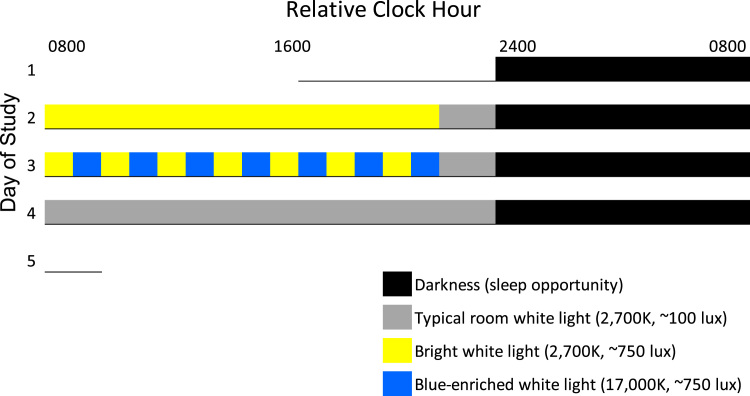 Daytime bright light exposure, metabolism, and individual differences in wake and sleep energy expenditure during circadian entrainment and misalignment