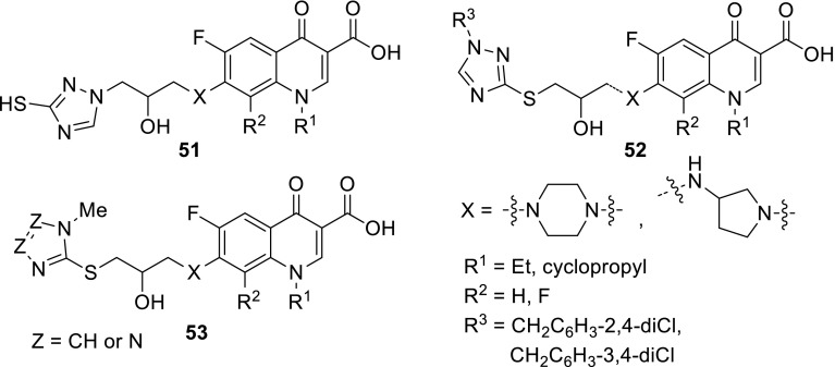 Modifications of quinolones and fluoroquinolones: hybrid compounds and dual-action molecules.