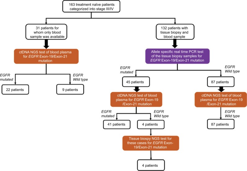 Validation of liquid biopsy: plasma cell-free DNA testing in clinical management of advanced non-small cell lung cancer.