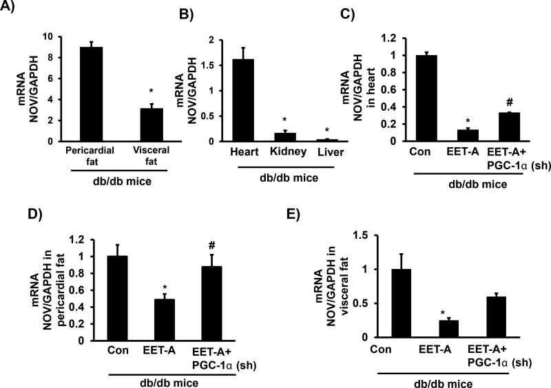 CYP-450 Epoxygenase Derived Epoxyeicosatrienoic Acid Contribute To Reversal of Heart Failure in Obesity-Induced Diabetic Cardiomyopathy <i>via</i> PGC-1 <i>α</i> Activation.