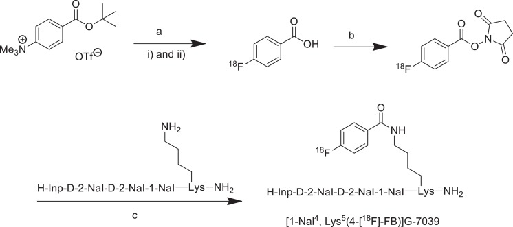 Development and Characterization of an <sup>18</sup>F-labeled Ghrelin Peptidomimetic for Imaging the Cardiac Growth Hormone Secretagogue Receptor.